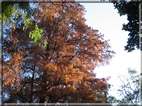 foto Giardini di Porta Venezia